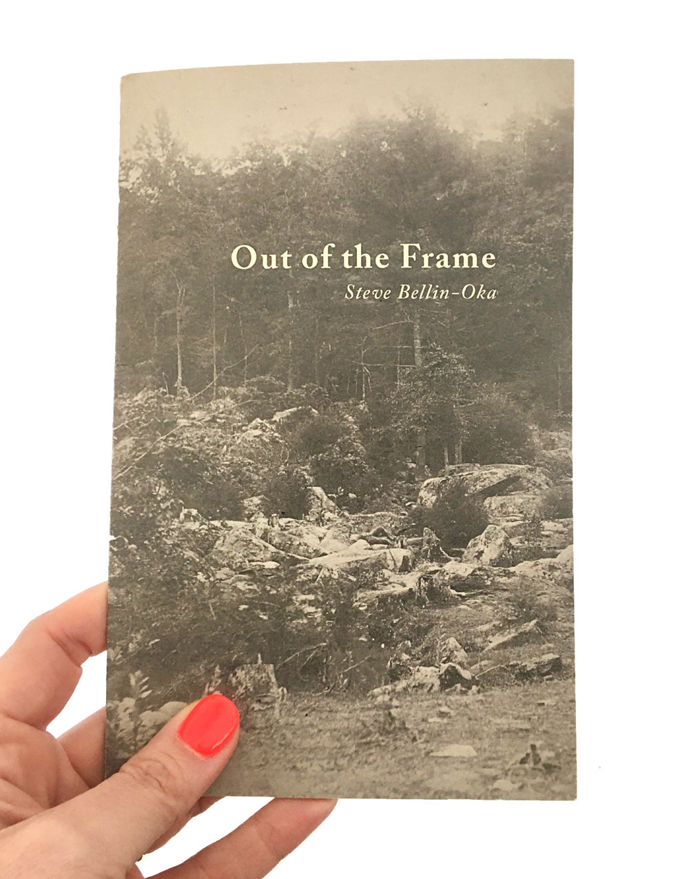 Out of the Frame // Steve Bellin-Oka