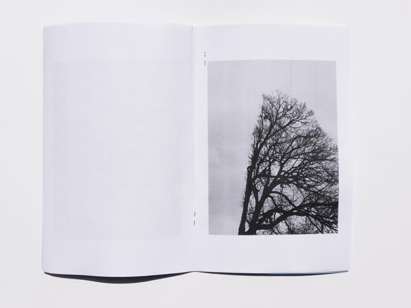 Reasonable and the Weather // Jesse Butcher